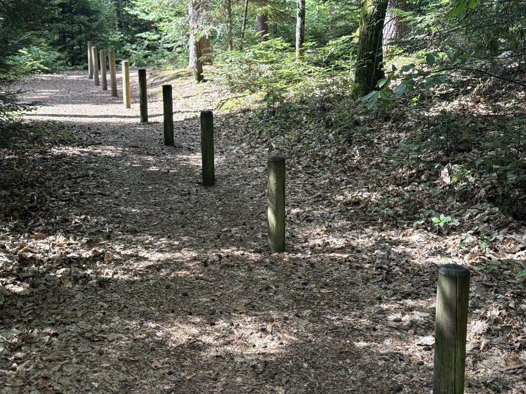 revision-photo-16