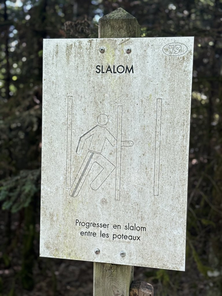 revision-photo-19