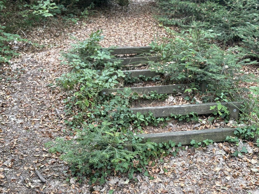 revision-photo-28