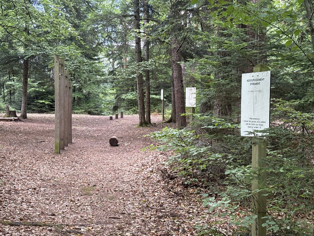 revision-photo-30