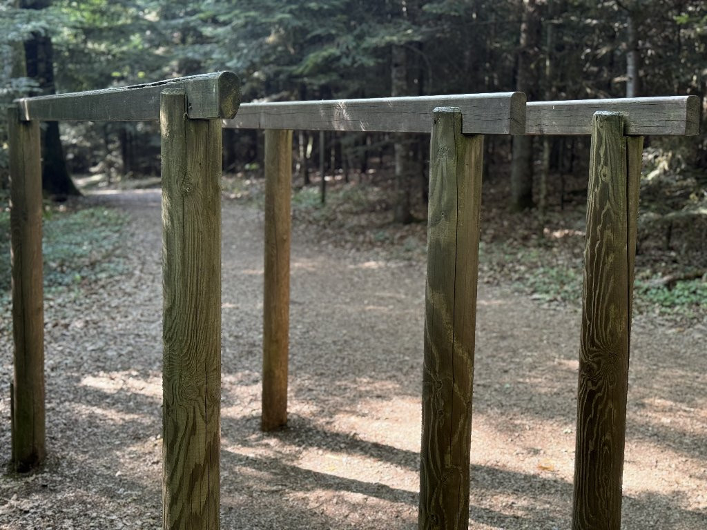 revision-photo-21
