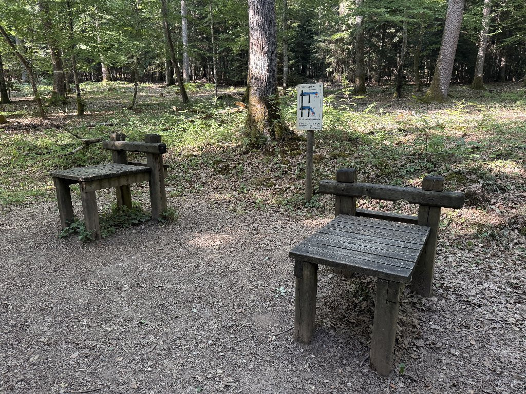 revision-photo-26